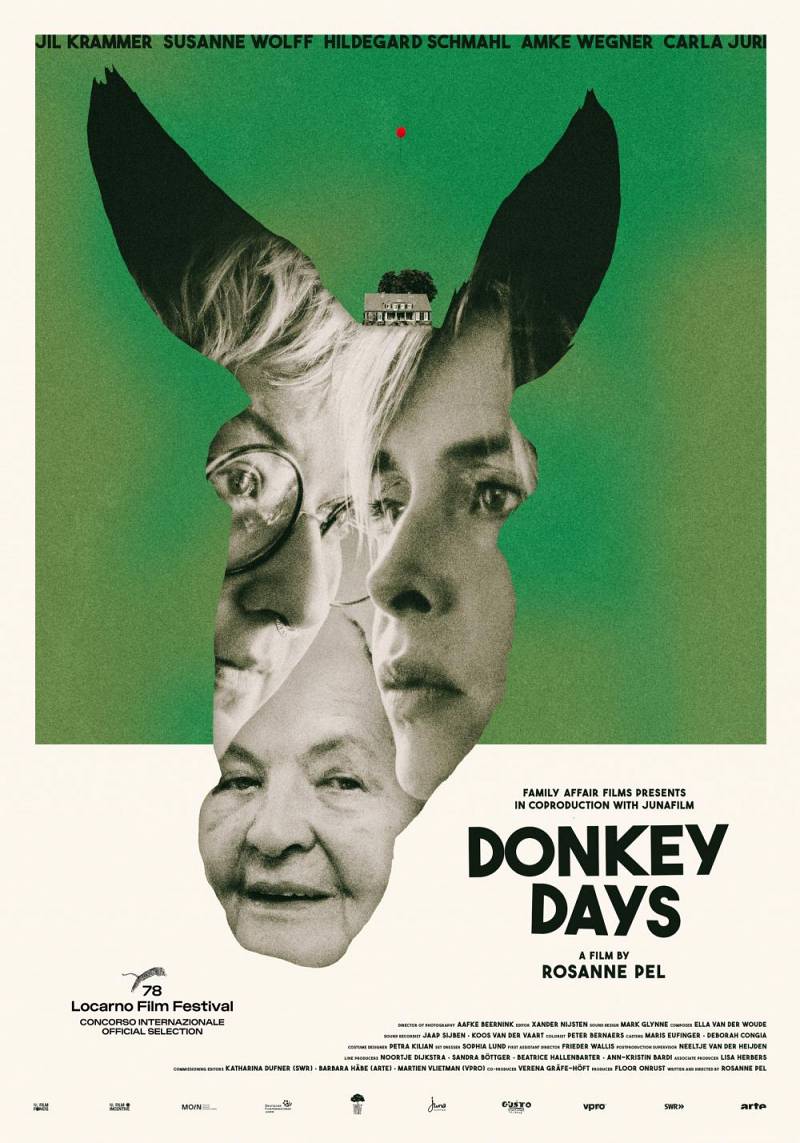 Donkey Days Donkey Days
