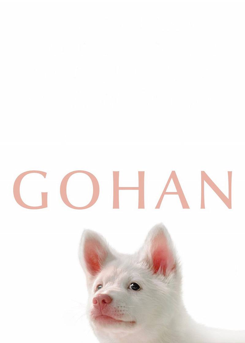 Gohan Gohan